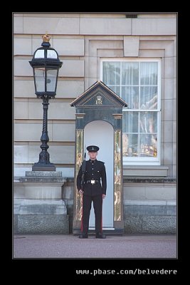 On Duty #1, Buckingham Palace, London
