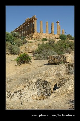 Temple of Concord #3, Agrigento, Sicily
