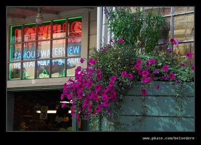 Neon #11, Pike Place Market, Seattle