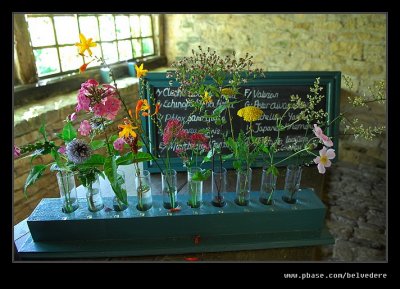 Flower Display, Snowshill Manor