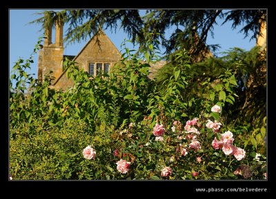 Roses of Old Garden #1, Hidcote Manor