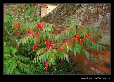 Croft Castle Walled Gardens #27