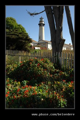 Pigeon Point Lighthouse #02, California