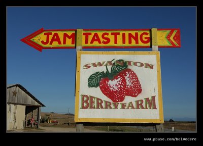 Swanton Berry Farm #05, Davenport, California