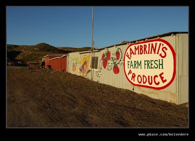 Fambrini's #02, Davenport, California