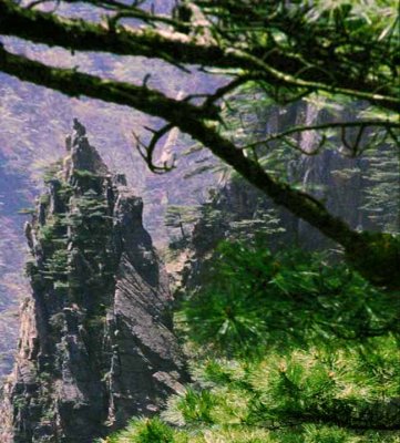 Umbrella Peak.jpg