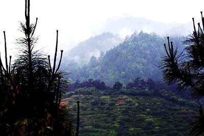 after rain.jpg