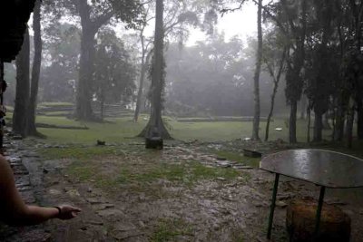 Downpour in rainforest