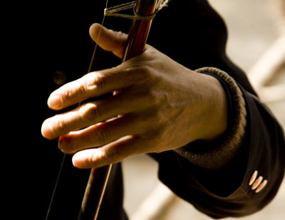 Hands - Erhu player