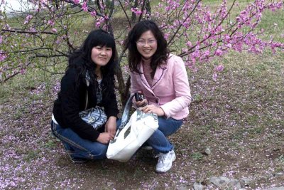 Flowers amid blossoms