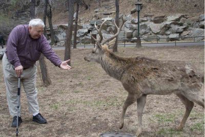 Buck cautiously approaching