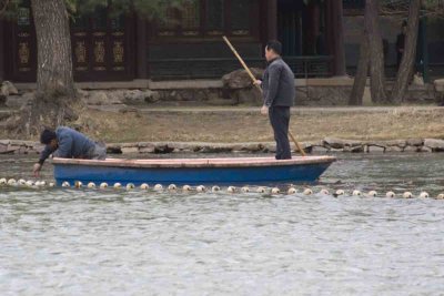 Sculling on lake