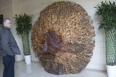 Peacock carved from Stump