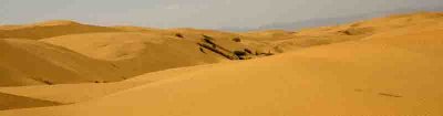 Dunes