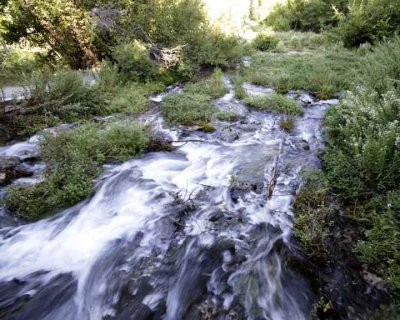 Rushing waters