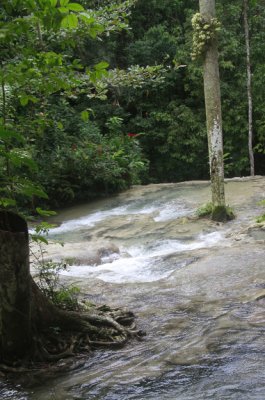 rjamaica136.jpg