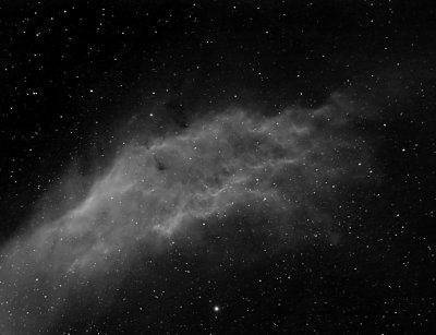 The California Nebula in Ha