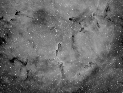IC 1396, Elephant Trunk Nebula