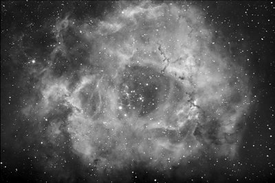 Rosette Nebula in Ha