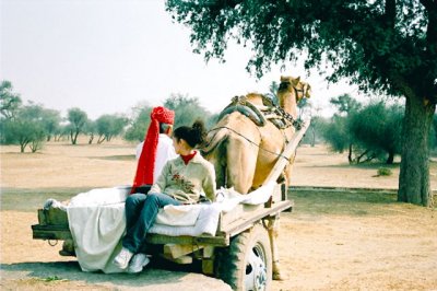 camel-cart10.JPG