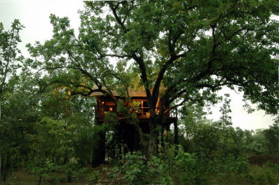 Tree House - Outside Shot19.JPG