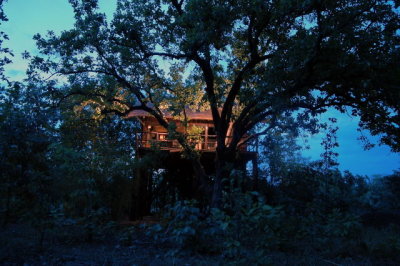 Tree House at Night21.JPG