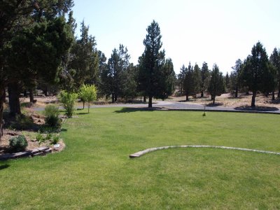 front lawn looking out to street