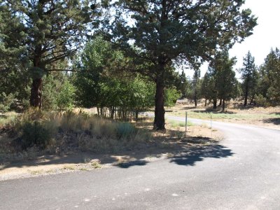 drive way looking at street