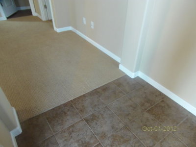 tile and carpet