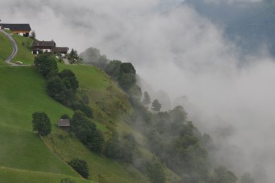 DSC_3534.JPG