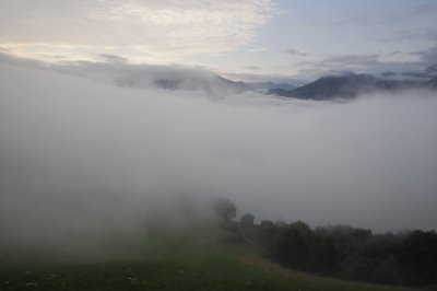 _DSC3204.JPG