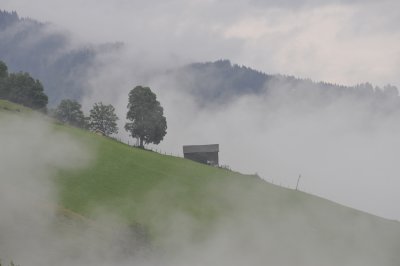 _DSC6941.JPG