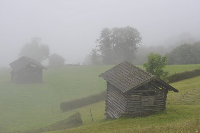_DSC6958.JPG