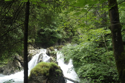 _DSC7804.JPG