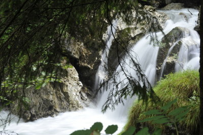 _DSC7807.JPG