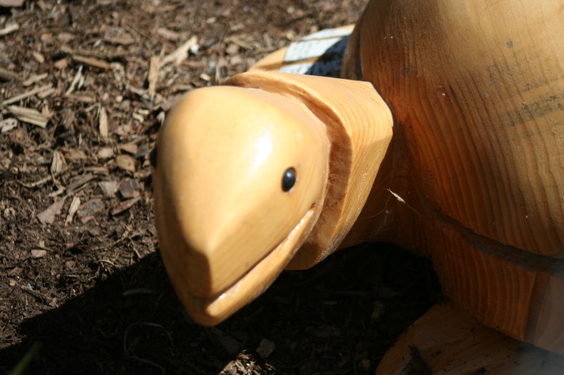 The Wooden Turtle~