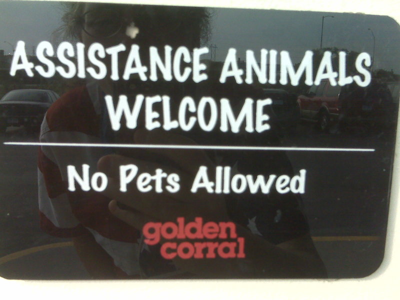 What If... Your Pet is Your Assistance Animal???