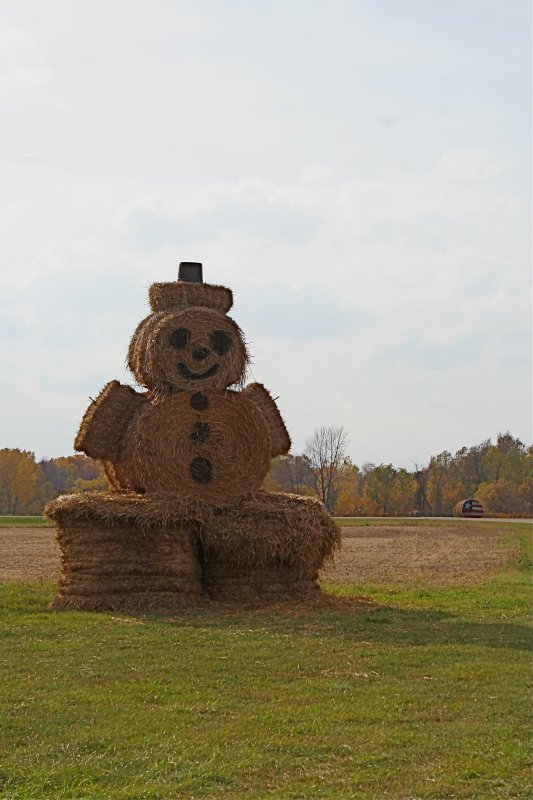 When you Want a Snowman in the Warm Days...
