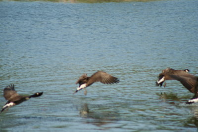 Into the Water We Go...