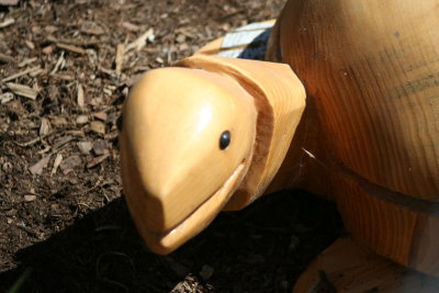 The Wooden Turtle~