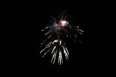 July 4th=Big Bang Holiday!