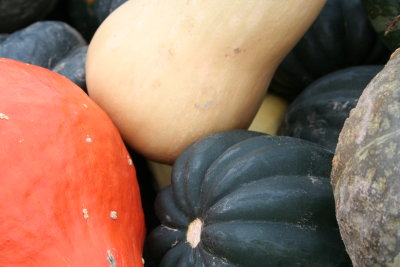 Squash of Different Kinds...