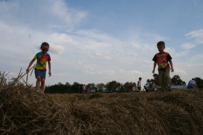 Kids a'Top a 5 foot Hay Bale Maze...