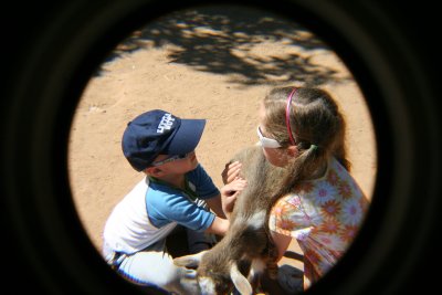 Big Sister helping Little Brother Pick up a Goat...