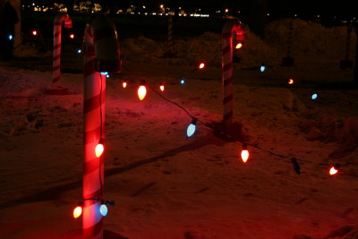 Glowing in the Snow...