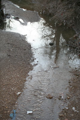 Another View During the Nature Walk~