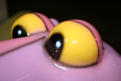 A Close Look into Pink Panthers Eyes...