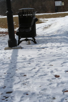 Footprints in the Snow...