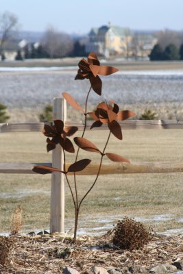 The Beauty of Metal Flowers...