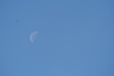 8:50am Morning Moon